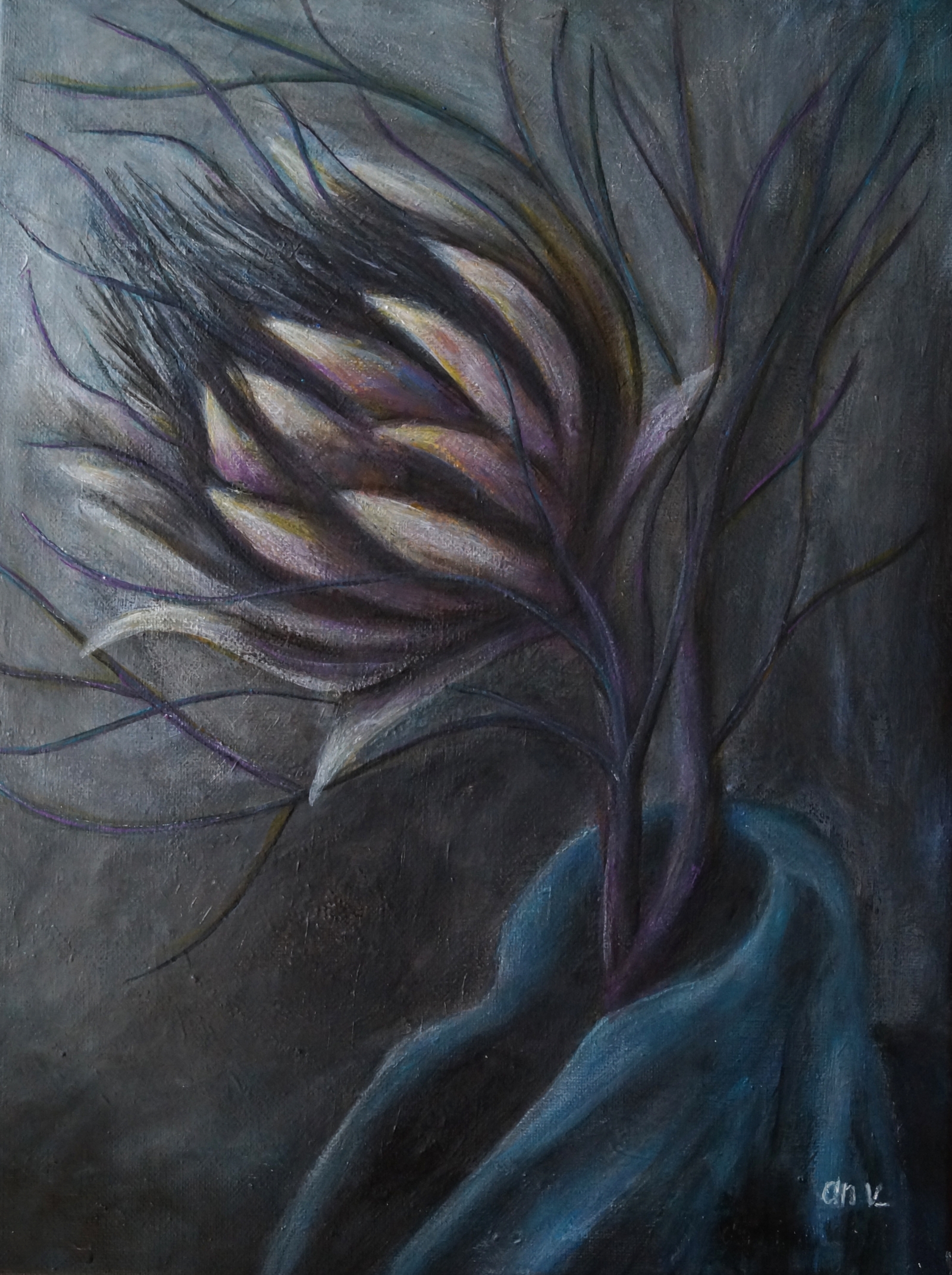 Flower of the Silent Night, series Botanical dreams